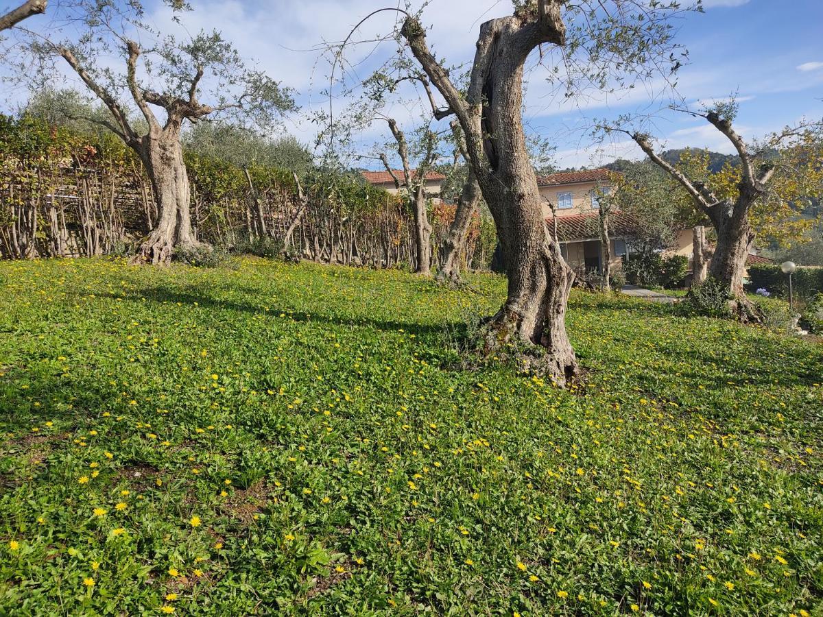 Villa La Tana Del Geco à Massarosa Extérieur photo