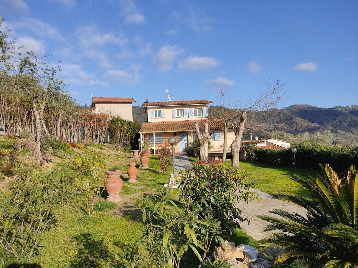 Villa La Tana Del Geco à Massarosa Extérieur photo