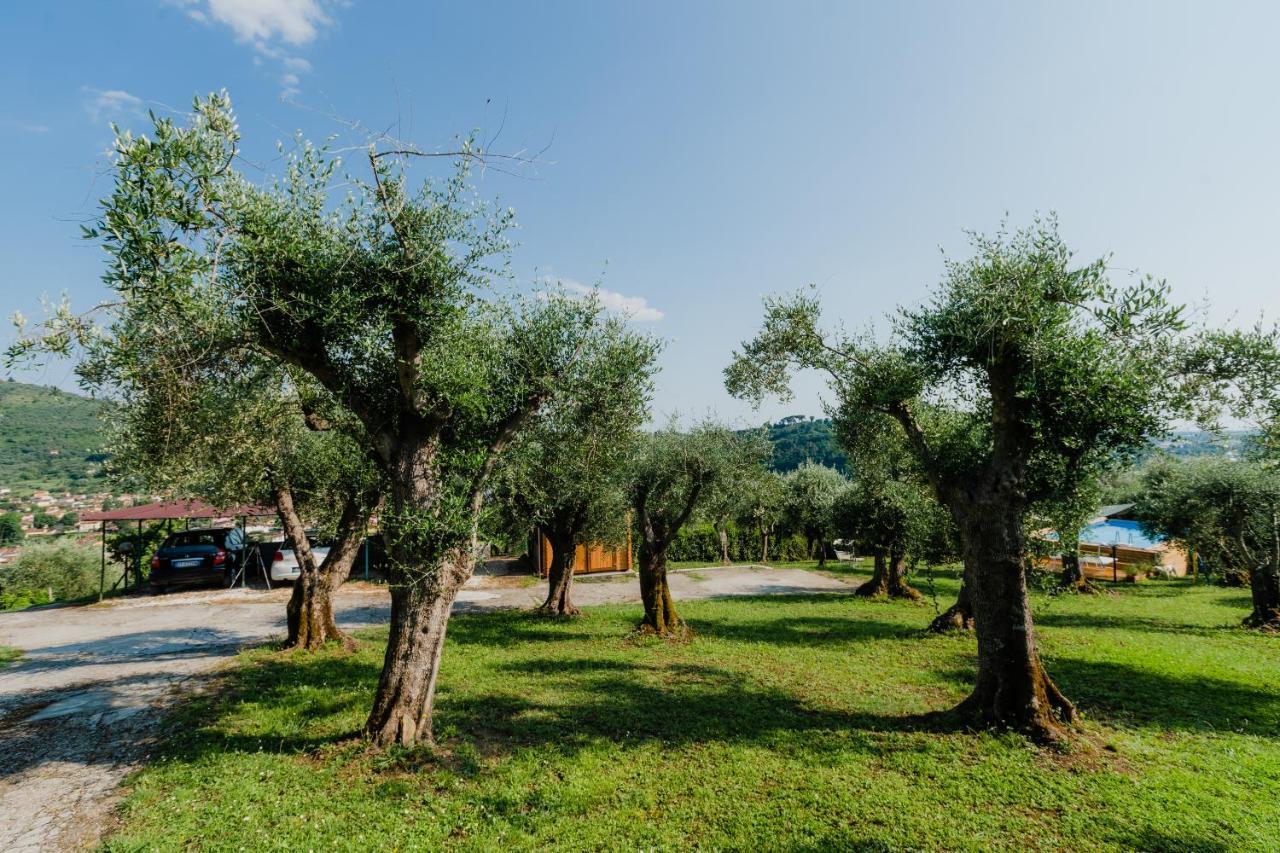 Villa La Tana Del Geco à Massarosa Extérieur photo